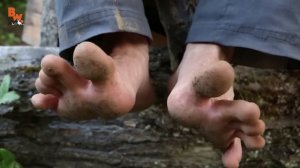 ЛИЦОМ К ЛИЦУ С РОСОМАХОЙ / Койот Питерсон на русском