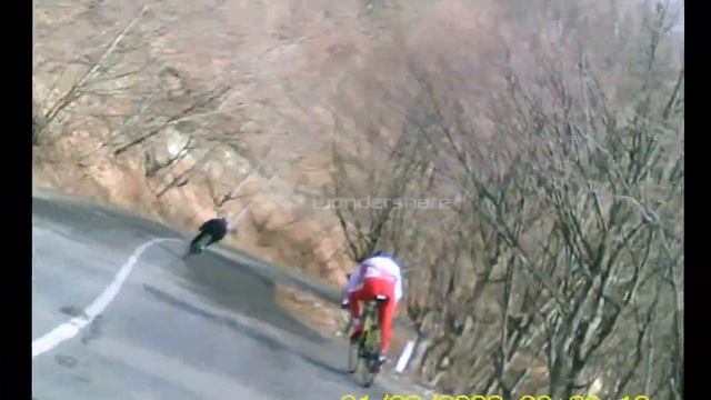 Georgian cycling training смотреть онлайн