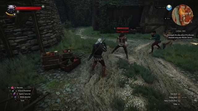 CARNAL SINS | The Witcher 3 Wild Hunt (PC) Full Game Walkthrough No Commentary Gameplay Part 65