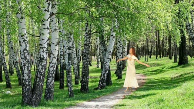 берёзка смотреть онлайн