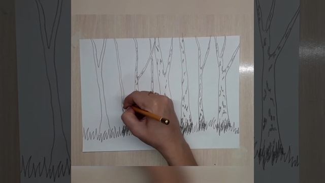 #Зарисовка Рисуем берёзы ✍? смотреть онлайн