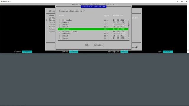 Veeam Agent for Linux Debian смотреть онлайн