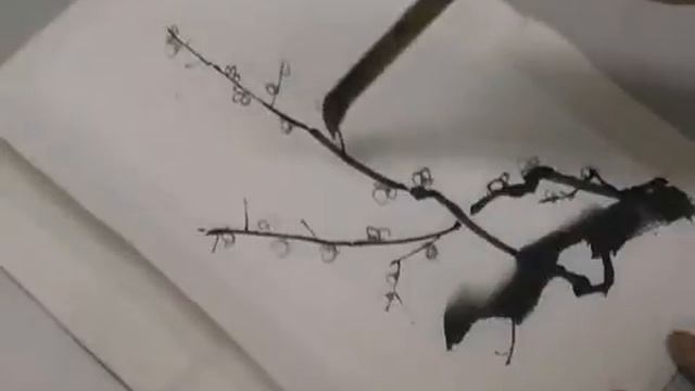 Цветущая слива в солнечной Японии смотреть онлайн