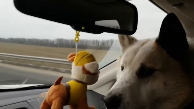 Переселенцы из Якутии 2 смотреть онлайн