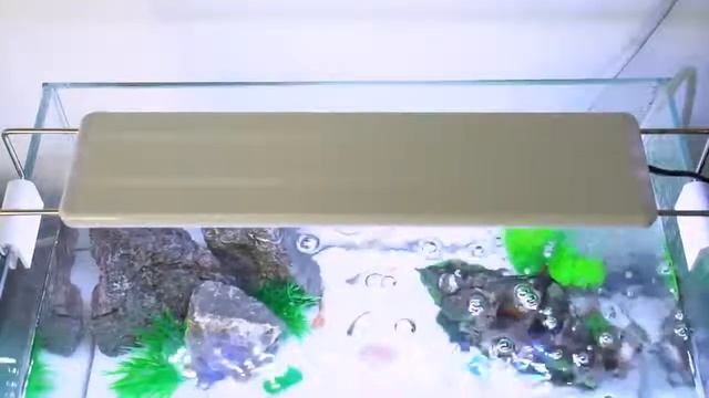 ⚡?? Светильник для аквариума с регулируемой яркостью с зажимом на Алиэкспресс смотреть онлайн