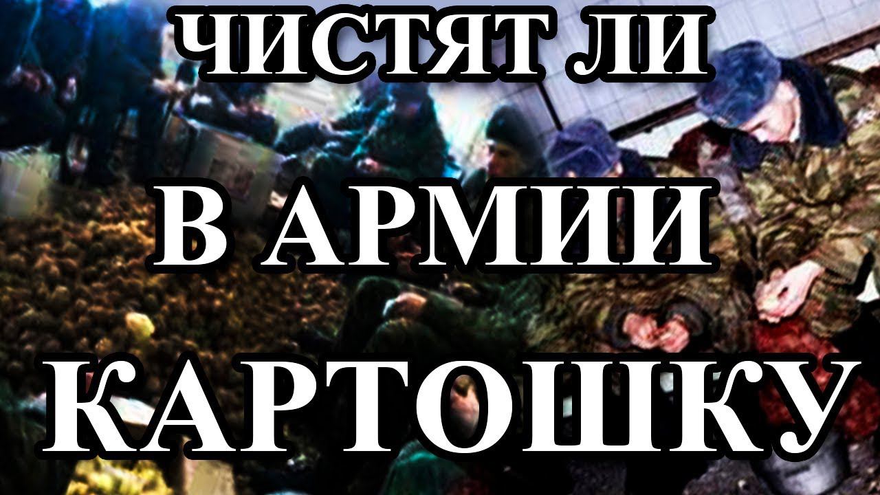 СТЕРЕОТИПЫ ОБ АРМИИ смотреть онлайн