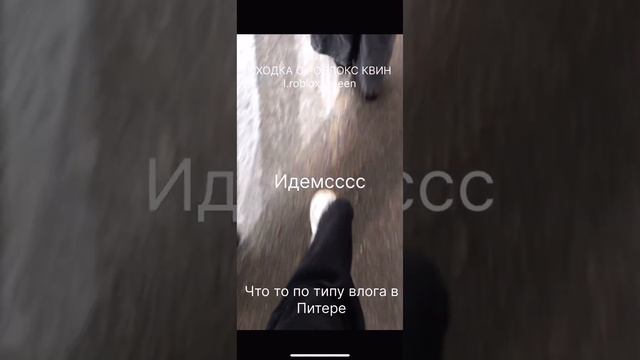 Складка с РОБЛОКС Каме ПИТЕР 25 НОЯБРЯ В 2 часа дня в ОХТАМОЛЛЕ смотреть онлайн