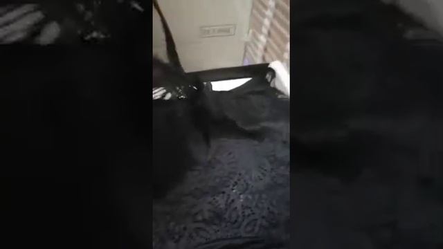 Женственный набор сорочка и халат от Bondy смотреть онлайн
