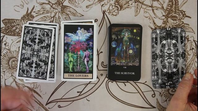 Oracle Of The Long Now by Ashley Cook #unboxing #firstimpressions смотреть онлайн