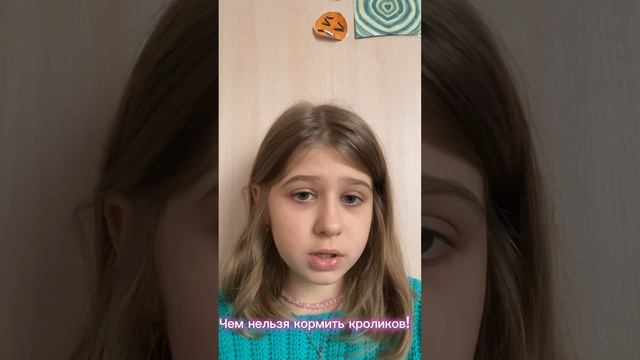 ЧТО НУЖНО ЗНАТЬ ПРЕЖДЕ ЧЕМ ЗАВЕСТИ КРОЛИКА?/ФАКТЫ/СОВЕТЫ/ КАК УХАЖИВАТЬ?/