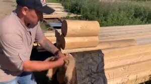 Как устранить щель между фундаментом и первым венцом?