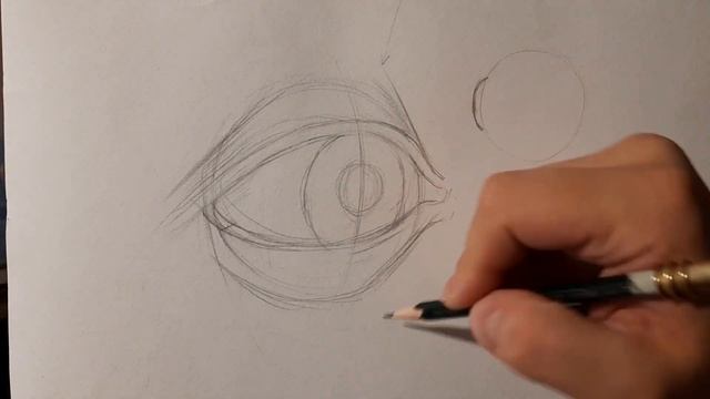 Рисуем глаз Давида поэтапно. Конструктивное построение глаза. смотреть онлайн
