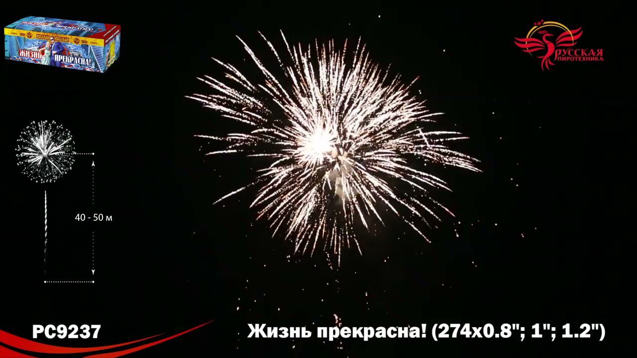 PC 9237 смотреть онлайн