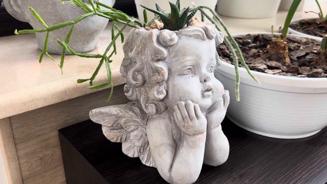 НЕ ТЕРЯЕМ ВРЕМЯ ЗРЯ! ТРЕНИРУЕМСЯ НА СУККУЛЕНТАХ: ДЕЛАЕМ КАМЕНИСТЫЕ САДИКИ В КОМНАТНЫХ ВАЗОНАХ! смотреть онлайн