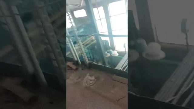 я на котельной деревни Ярославля смотреть онлайн