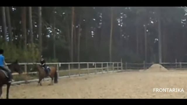 НОВЫЙ КОНОБЛОГЕР?! || F R O N T A R I K A смотреть онлайн