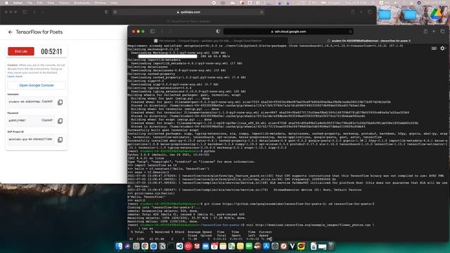 Qwiklabs | TensorFlow for Poets [GSP077] смотреть онлайн