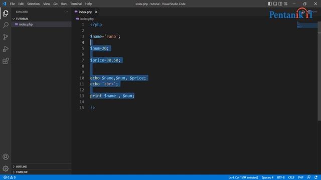 PHP Echo Vs Print and Data Types tutorial for Beginners | Pentanik IT смотреть онлайн