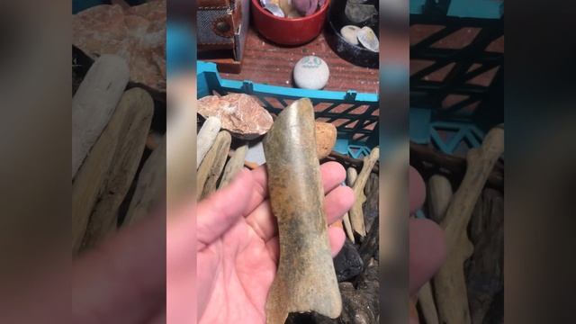 Оригинальный декор из того что нашли на пляже после шторма смотреть онлайн