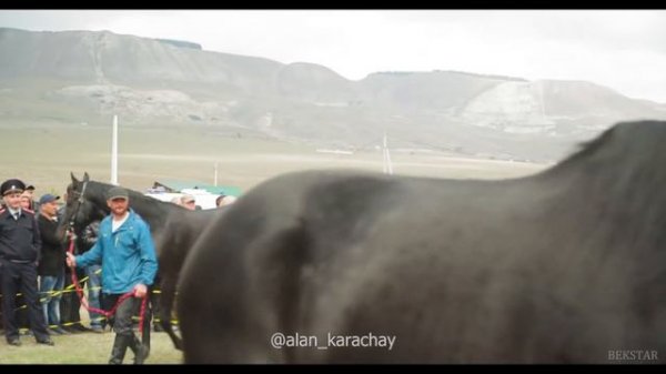 Выставка лошадей Карачаевской породы