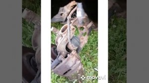 Пежо 405 снимаем правую полуось, шрус, замена подвесного подшипника, трипоида