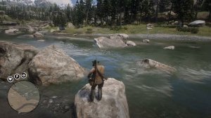 Библиотека RDR 2. Охота на дятла, иволгу и сойку.