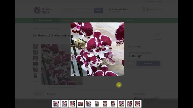 ? ПРОДАЖА ОРХИДЕЙ. Орхидеи БИГ ЛИПЫ. Обзор сортов для Предзаказа 2023. Купить орхидею. смотреть онлайн