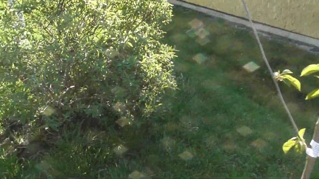 Маленький обзор нашего участка смотреть онлайн