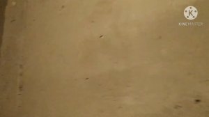 перетирка стен.