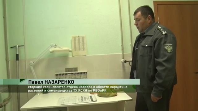 Выдача карантинных сертификатов на продукцию из ДНР и ЛНР смотреть онлайн