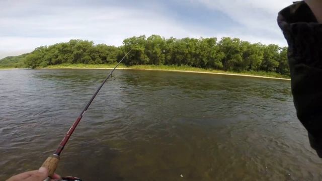 Сахалин. Ловля горбуши и кеты на креветку смотреть онлайн