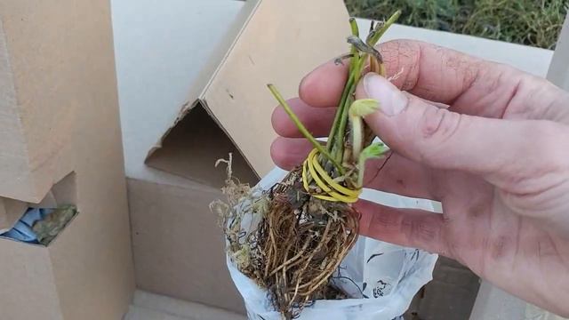 Отзыв Агромаркет (відгук) смотреть онлайн