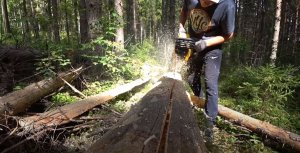 ИЗБА В ЛЕСУ | Делаем доски бензопилой | Выпилили дверь | Поставили стропила