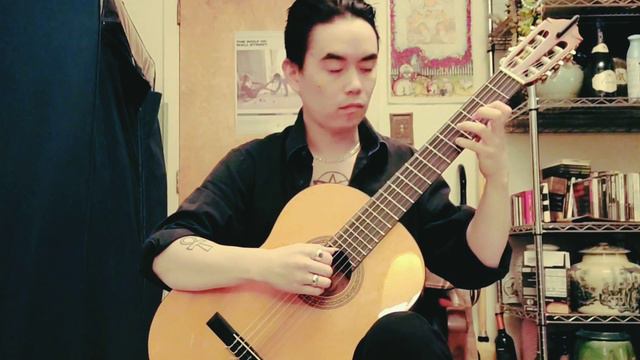 "Gnossienne no.1°"---Erik Satie, performed by Rik James Zupko смотреть онлайн