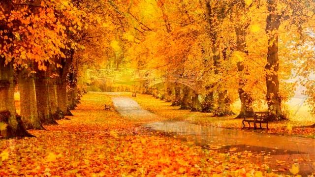 С Бабьим летом! смотреть онлайн