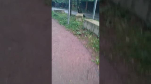 Парк солнцево смотреть онлайн