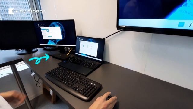 Dynabook USB C™ dock DE смотреть онлайн