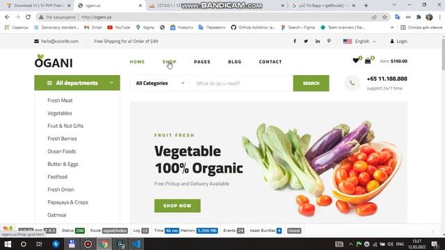 Yii2 E shoper 4 Part Ogani смотреть онлайн