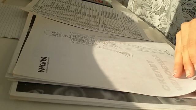 КАК ПОДГОТОВИТЬСЯ К ШКОЛЕ за 1 неделю? | back to school ? смотреть онлайн
