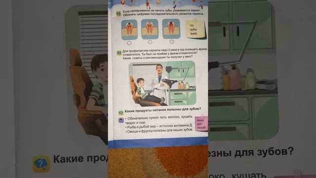Основы безопасного поведения смотреть онлайн
