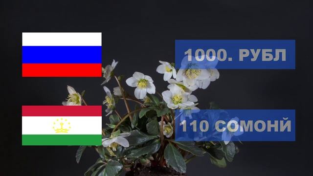 Қурби асъор имруз 15.03.2022 Курс валюты в Таджикистане на сегодня