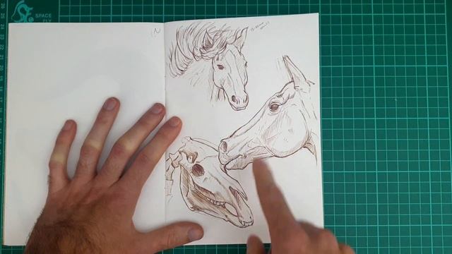 Ballpoint Pen Sketchbook Tour Fantasy Art inspiration My First Biro Sketch book video! смотреть онлайн