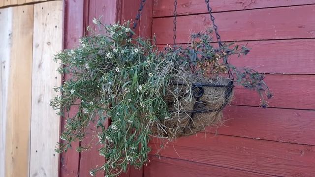 Ремонт дачи женскими руками смотреть онлайн