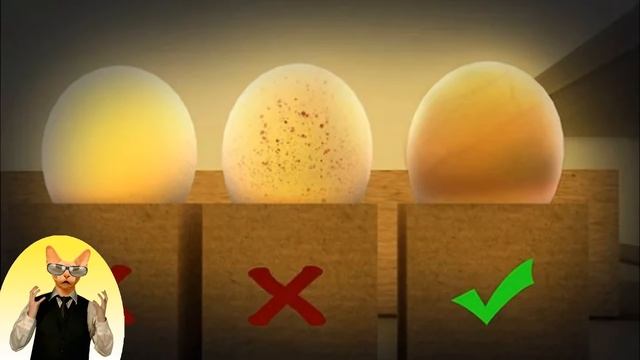 Как проверить молоко, яйца и вареную колбасу на пригодность и наличие примесей прямо в магазине смотреть онлайн