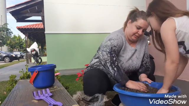 Mudando a kalanchoe de vaso! смотреть онлайн