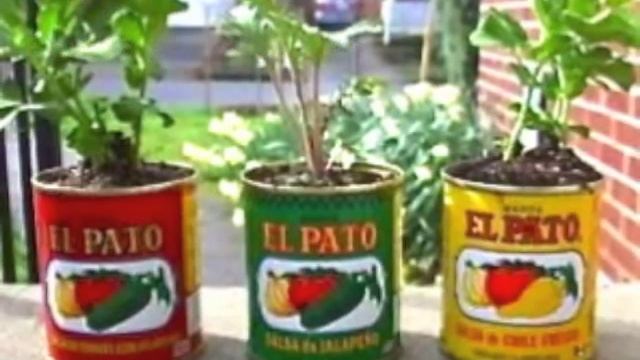 A Choice of Containers to Grow Plants - Part 3 смотреть онлайн