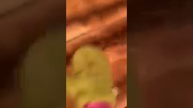 Как почистить шубу в домашних условиях смотреть онлайн