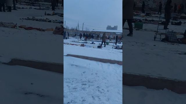 Будни Воронежской блохи... #винтаж #винтажнаямебель #блошинныйрынокворонеж #одеждассср смотреть онлайн