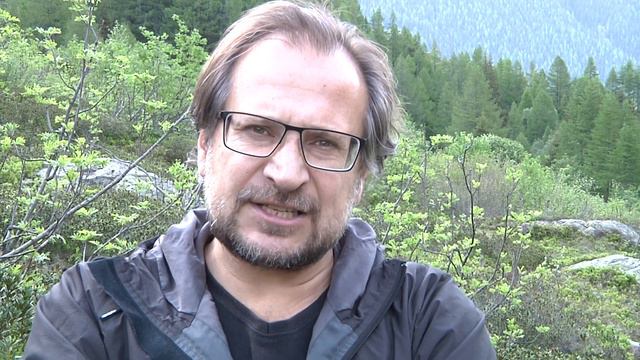 Литовский ноктюрн смотреть онлайн