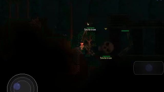 Terraria Kaempe Skelet/hule Vogter